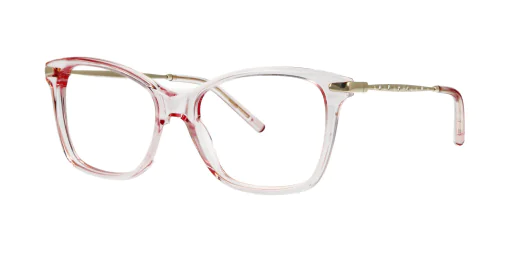 Optical frame TONNY 14033C3