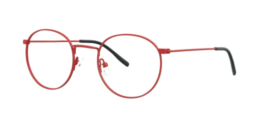 Optical frame TONNY 14048C4