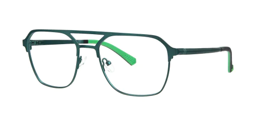 Optical frame TONNY 14066C4