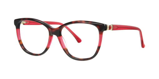 Optical frame TONNY 14017C2