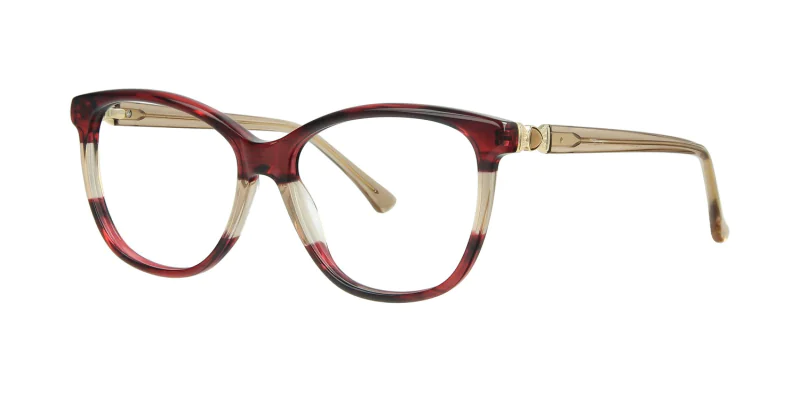 Optical frame TONNY 14017C3