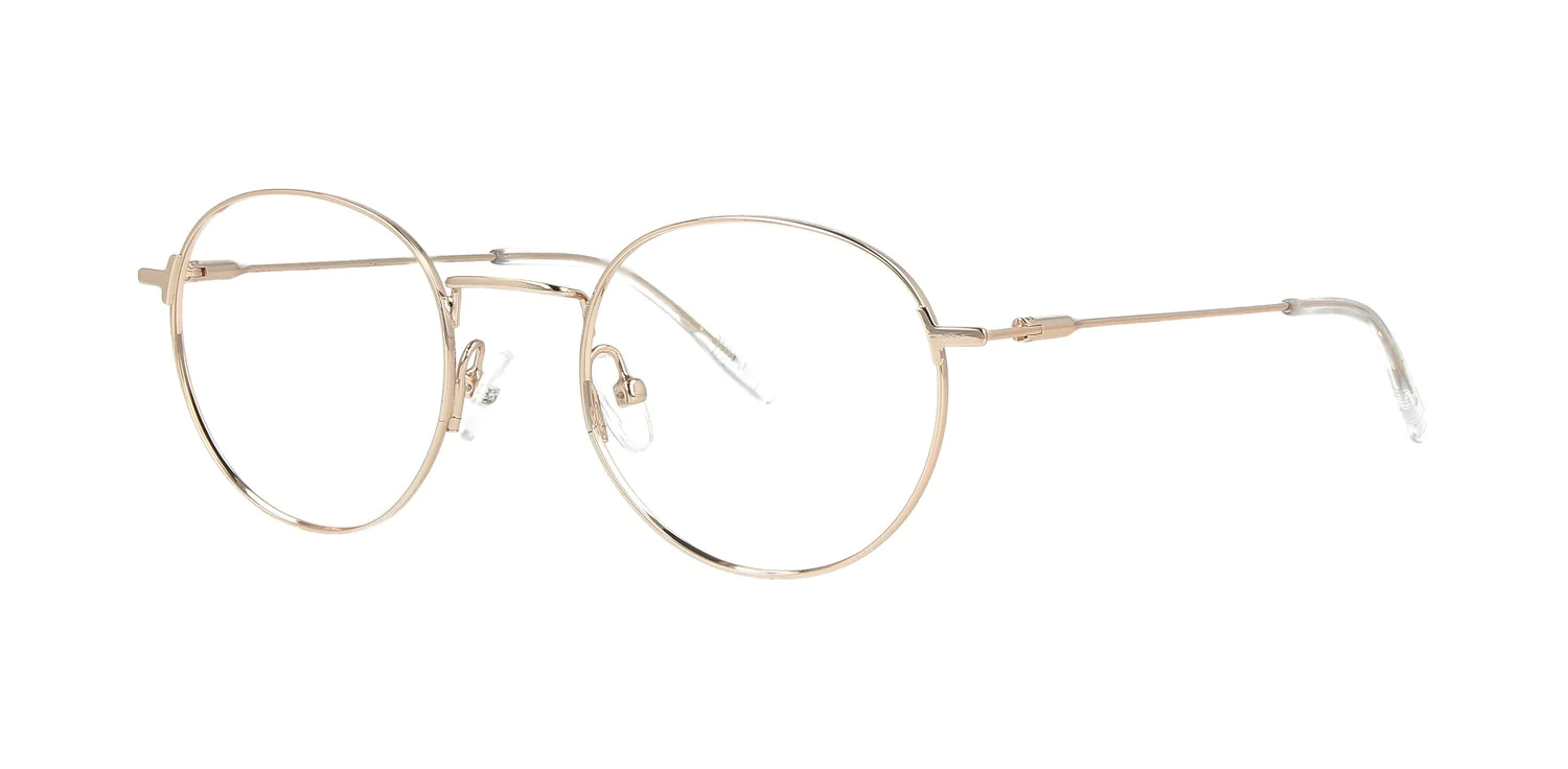 Optical frame TONNY 14047C4