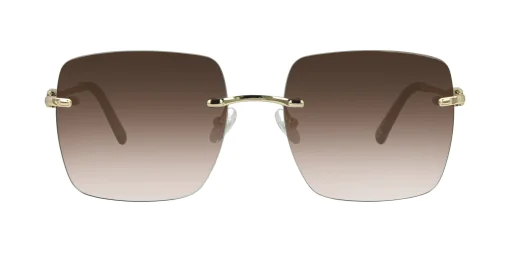 Sunglasses TONNY 14039SC2