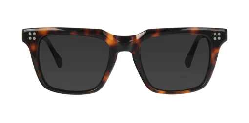 Sunglasses TONNY 14018SC2