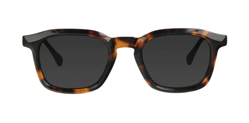 Sunglasses TONNY 14019SC2