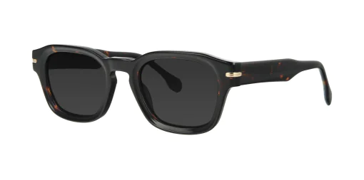 Sunglasses TONNY 14023SC2