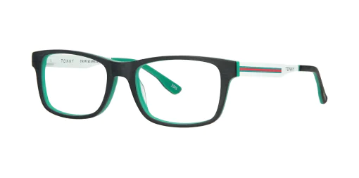 Optical frame TONNY 9825C4