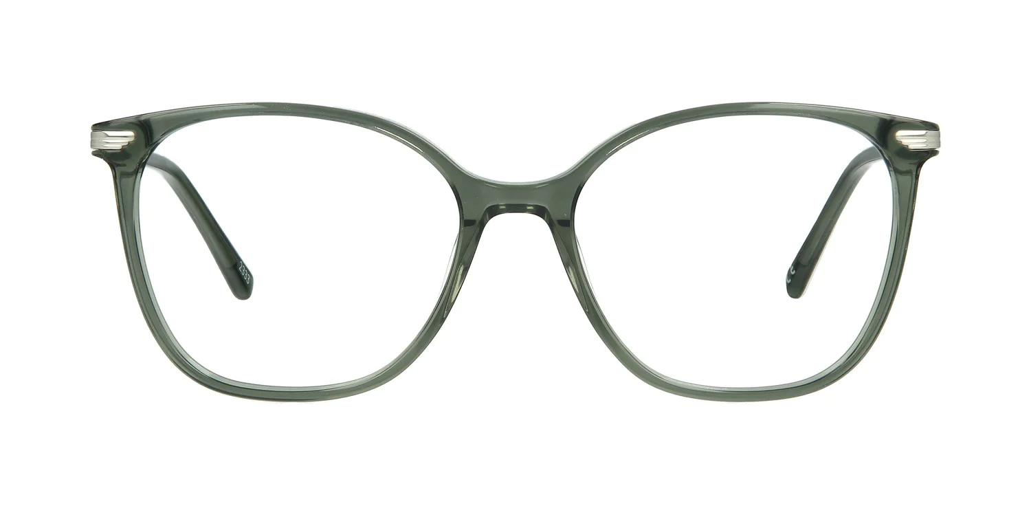 Optical frame TONNY 48455C2