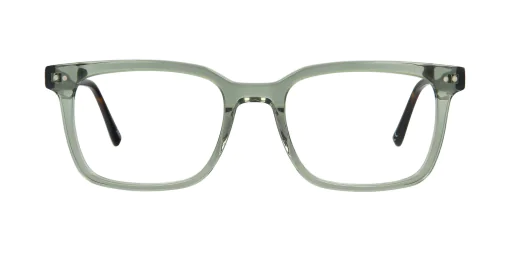 Optical frame TONNY 48349AC3-CL