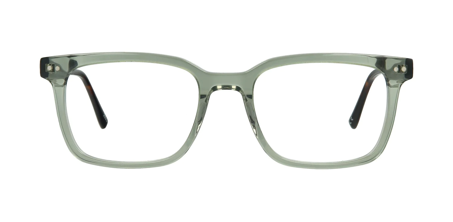Optical frame TONNY 48349AC3-CL