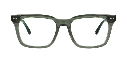 Optical frame TONNY 48350C1-CL