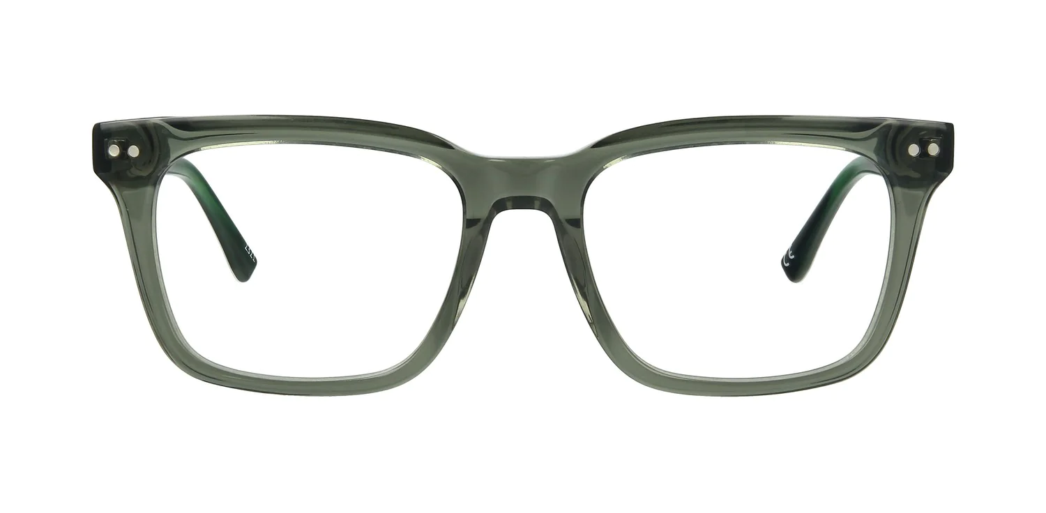 Optical frame TONNY 48350C1-CL