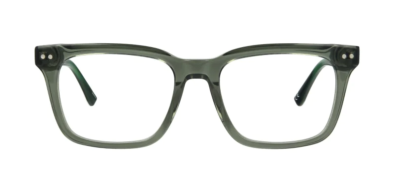 Optical frame TONNY 48350C1-CL