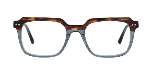 Optical frame TONNY 48351C3-CL