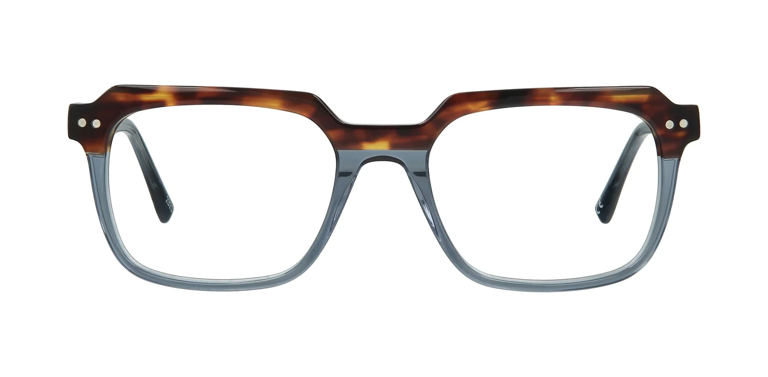 Optical frame TONNY 48351C3-CL