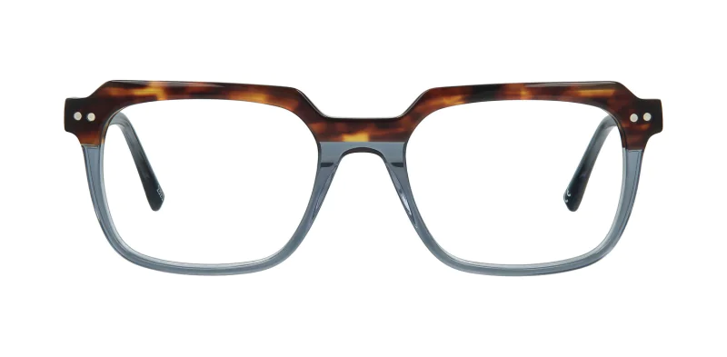 Optical frame TONNY 48351C3-CL