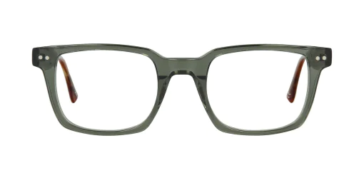 Optical frame TONNY 48353C1-CL