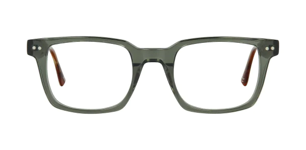 Optical frame TONNY 48353C1-CL