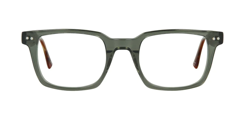 Optical frame TONNY 48353C1-CL