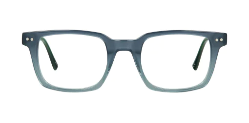 Optical frame TONNY 48353C2-CL