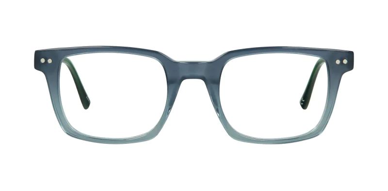 Optical frame TONNY 48353C2-CL