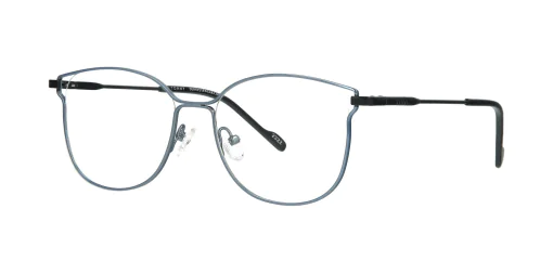 Optical frame TONNY 48379C1-CL