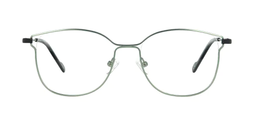 Optical frame TONNY 48379C2-CL