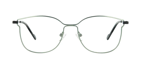 Optical frame TONNY 48379C2-CL