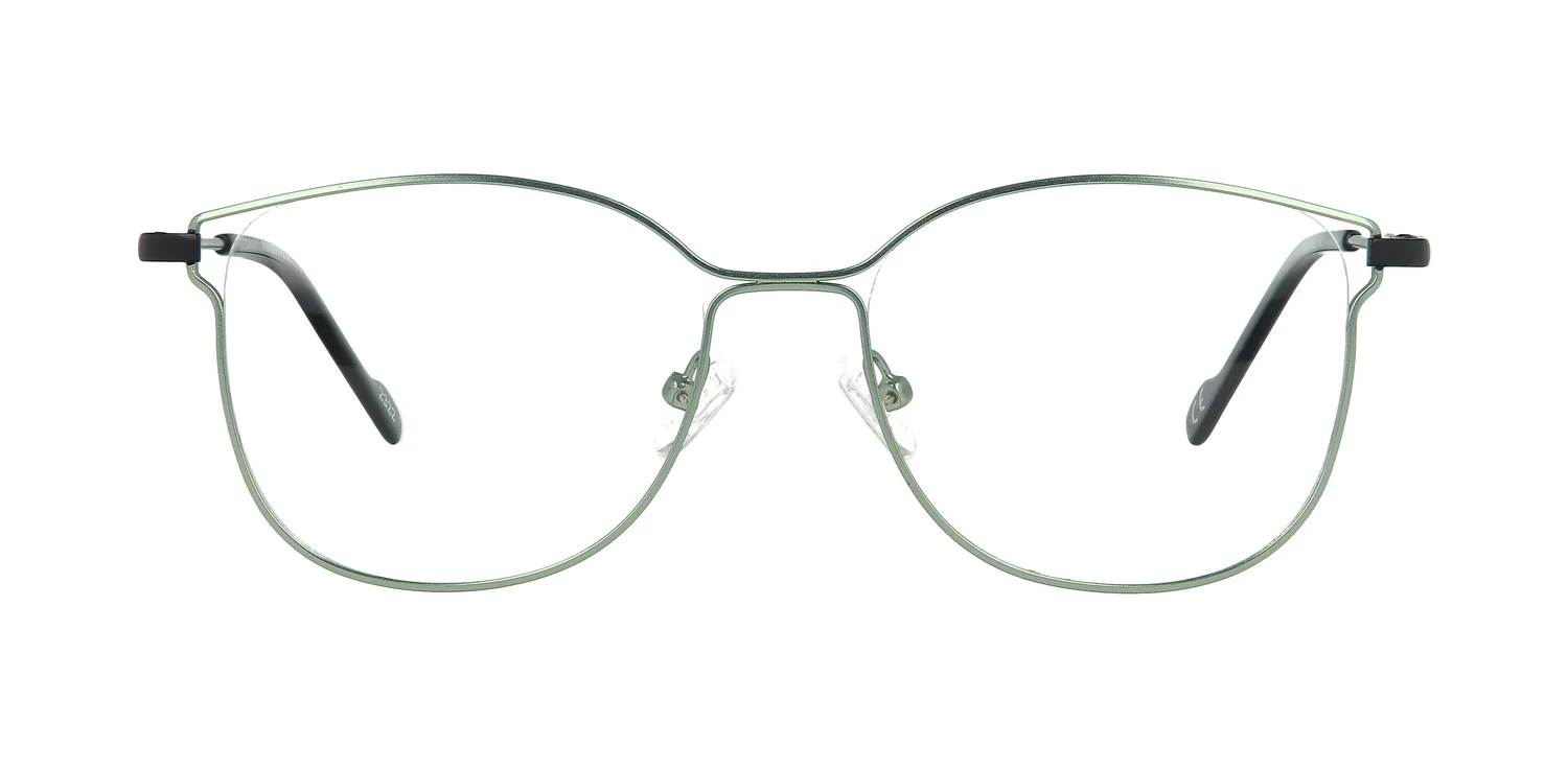 Optical frame TONNY 48379C2-CL