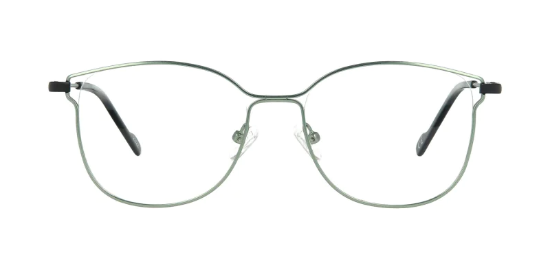 Optical frame TONNY 48379C2-CL