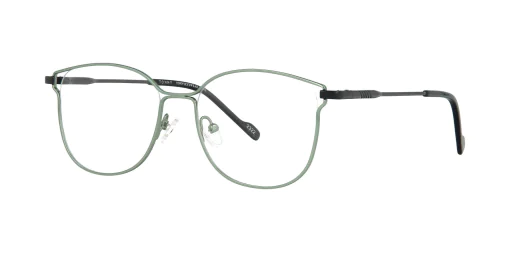 Optical frame TONNY 48379C2-CL