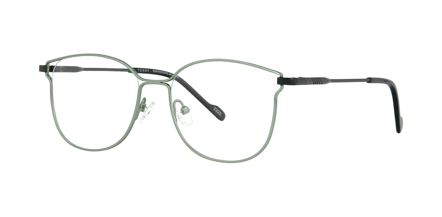 Optical frame TONNY 48379C2-CL