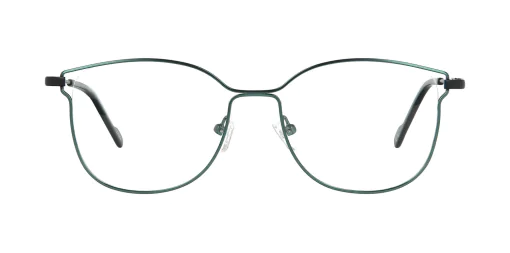 Optical frame TONNY 48379C4-CL