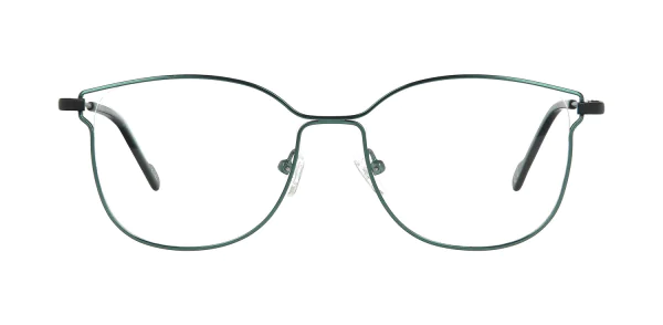 Optical frame TONNY 48379C4-CL