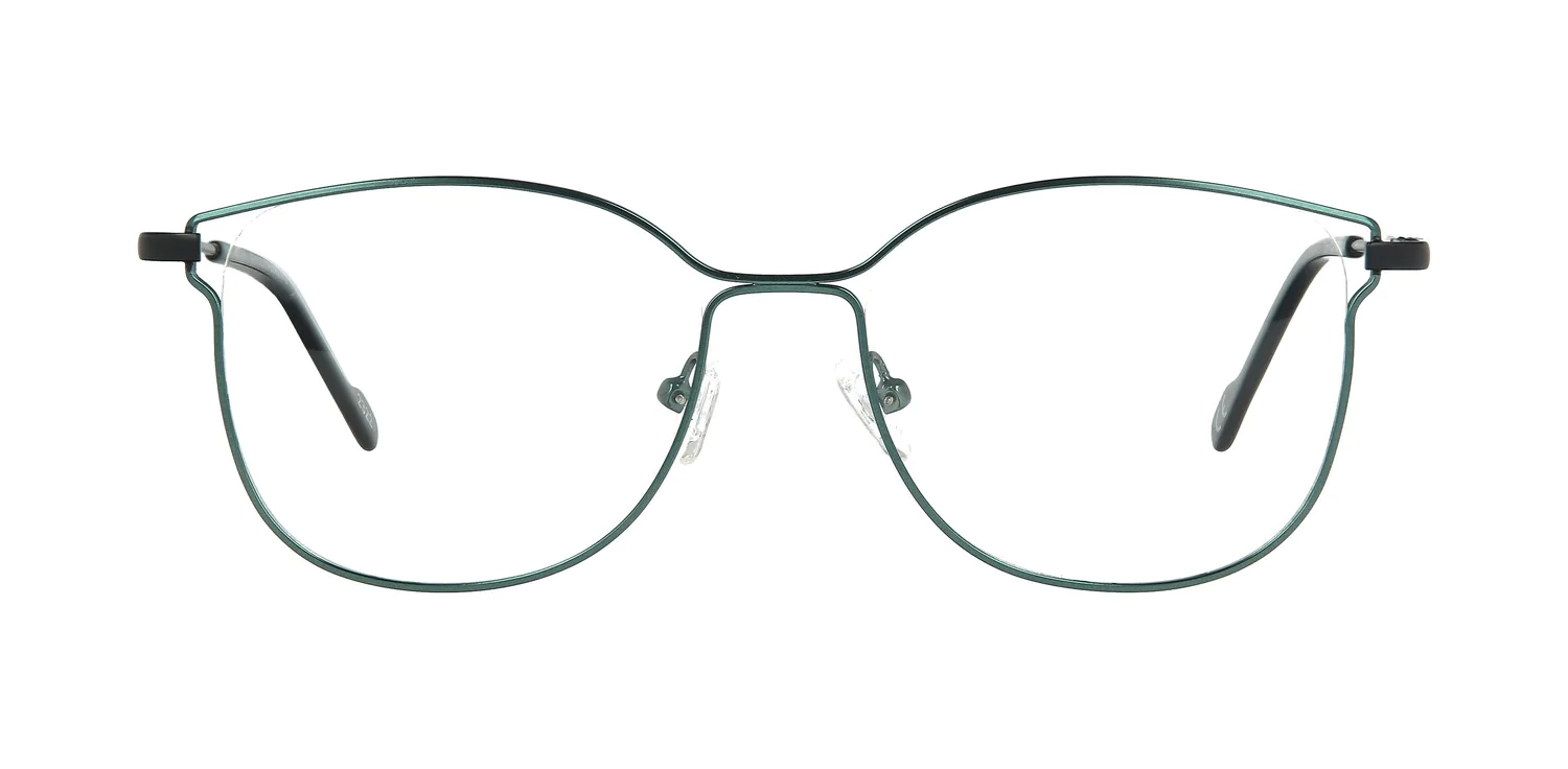 Optical frame TONNY 48379C4-CL