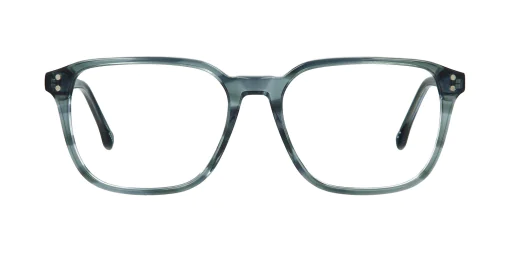 Optical frame TONNY 48470C3-CL