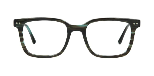 Optical frame TONNY 48349C2-CL