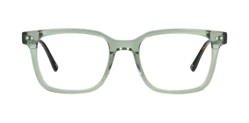 Optical frame TONNY 48349C3-CL