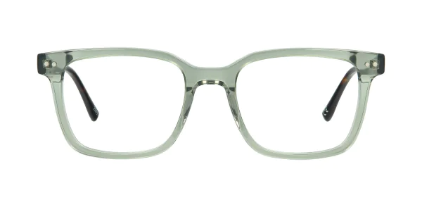 Optical frame TONNY 48349C3-CL