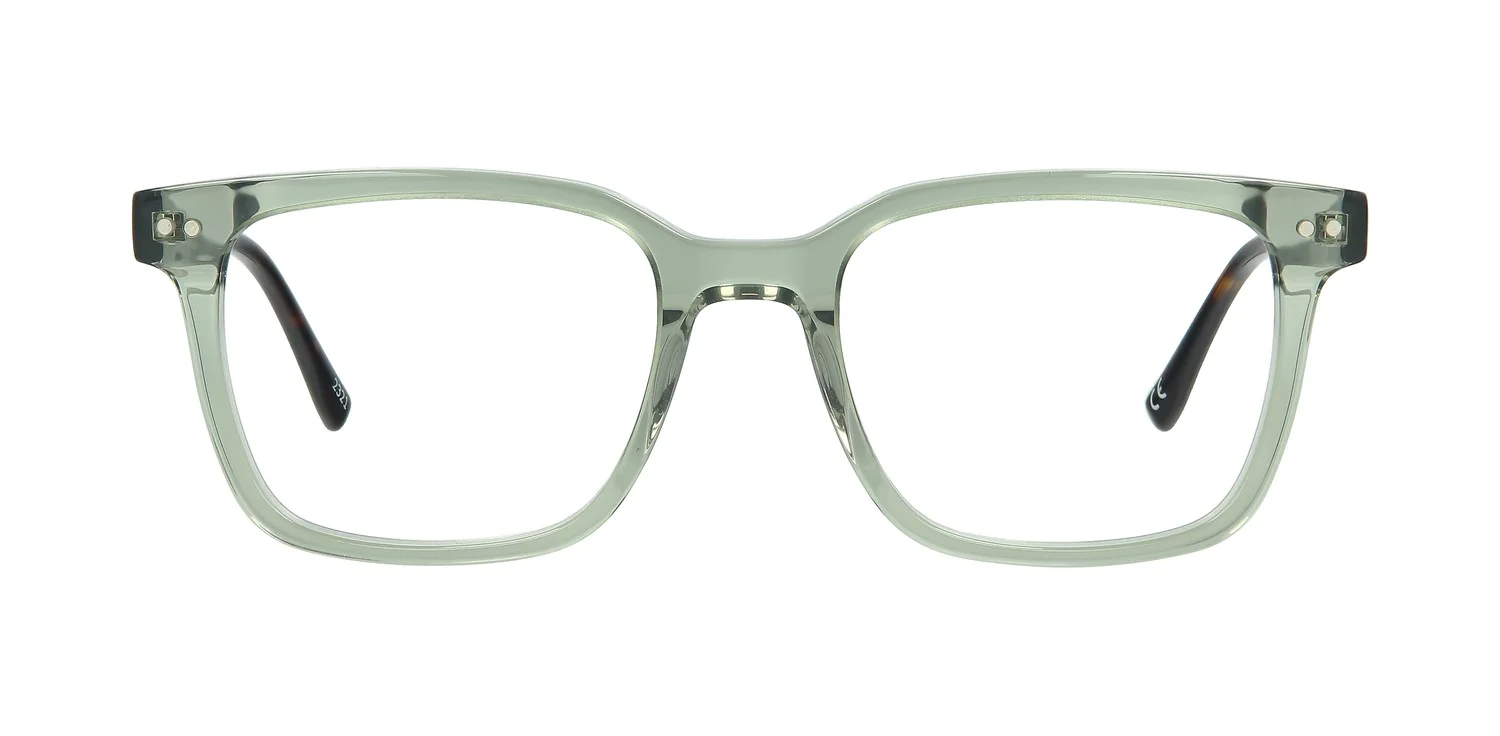 Optical frame TONNY 48349C3-CL