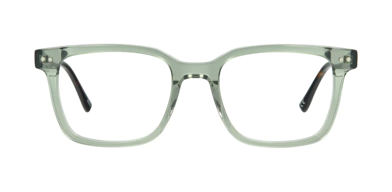 Optical frame TONNY 48349C3-CL