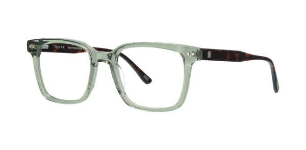 Optical frame TONNY 48349C3-CL