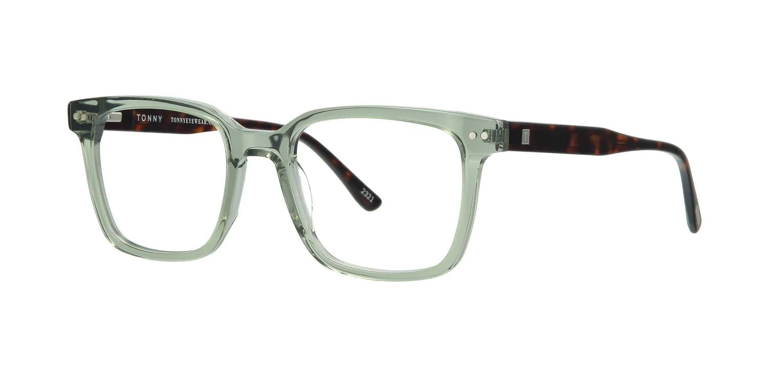 Optical frame TONNY 48349C3-CL