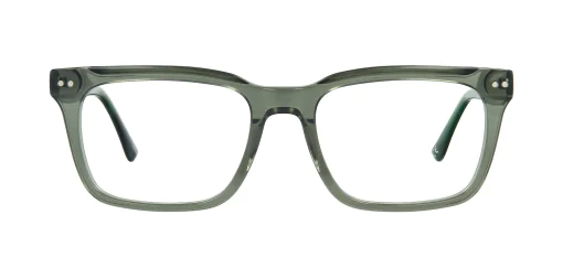 Optical frame TONNY 48350AC1-CL