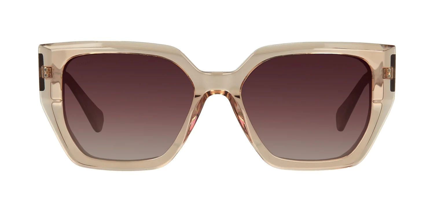 Sunglasses TONNY 44034C4