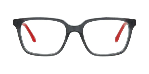 Optical frame TONNY 48449C2