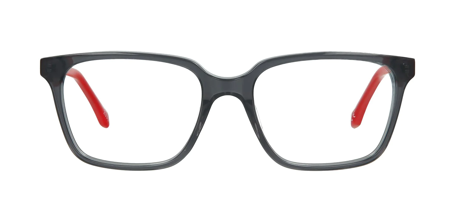 Optical frame TONNY 48449C2