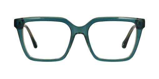 Optical frame TONNY 48405C2