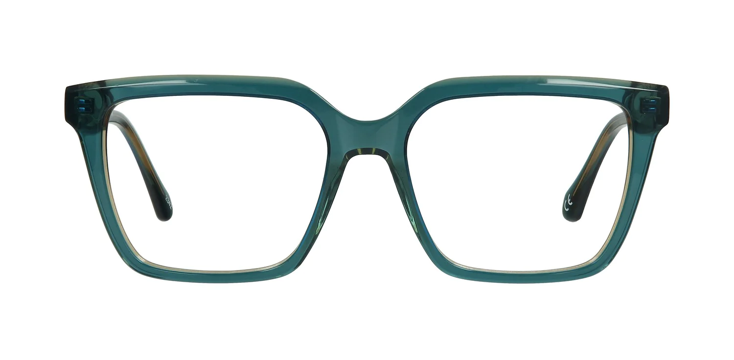 Optical frame TONNY 48405C2