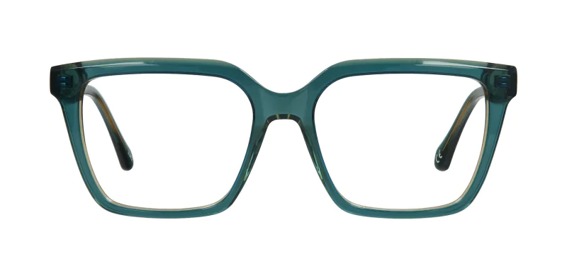 Optical frame TONNY 48405C2